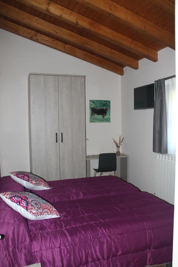 Hotel Rural Rio Molinar Ranera Exteriör bild